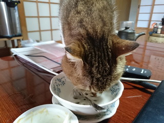 水を飲むたま